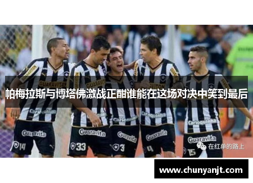 帕梅拉斯与博塔佛激战正酣谁能在这场对决中笑到最后